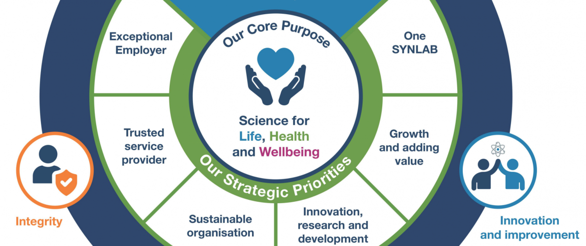 SYNLAB Values Wheel